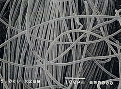 特殊薬剤加工→５回洗濯後